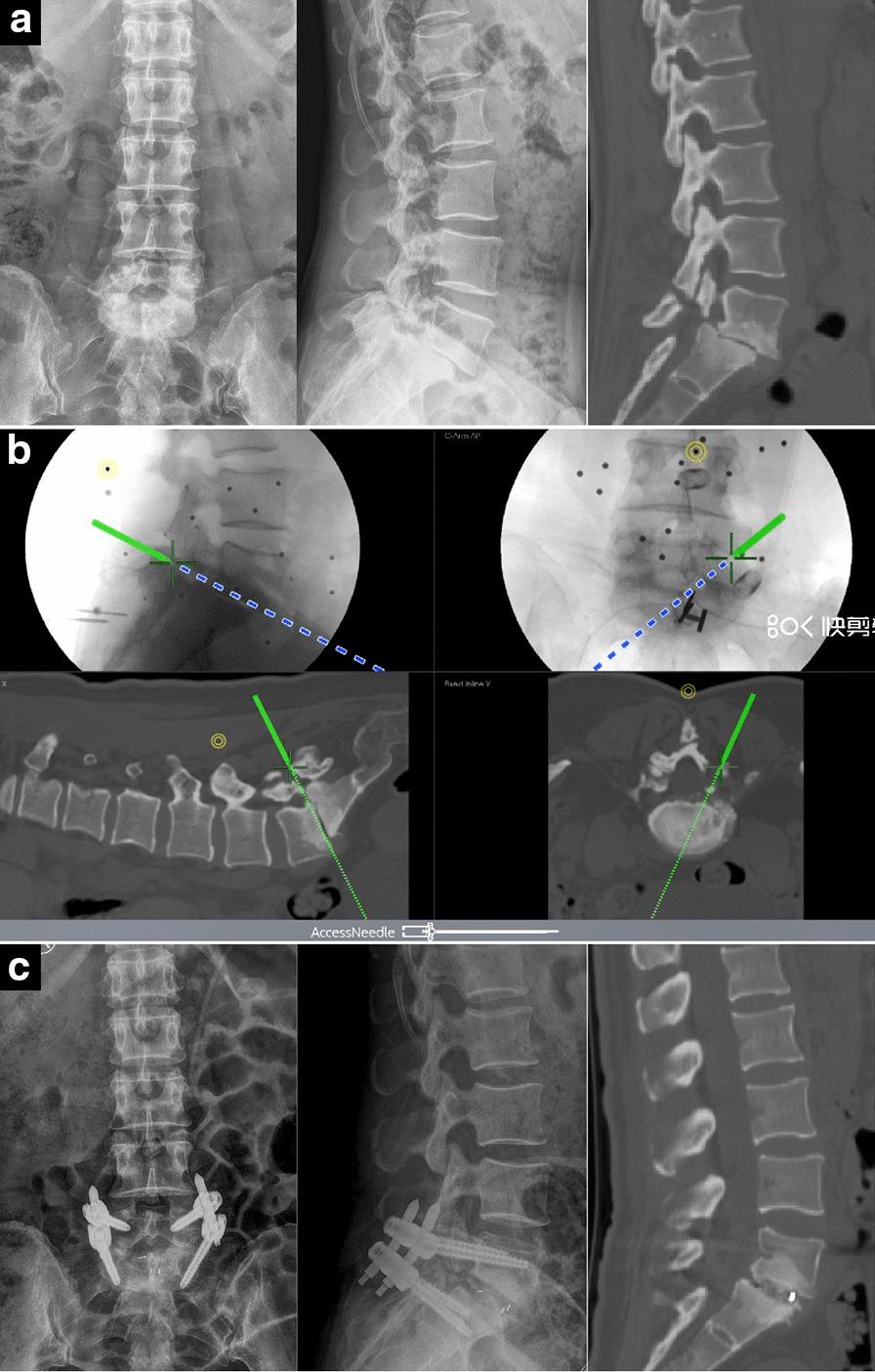 https://cdn.ncbi.nlm.nih.gov/pmc/blobs/91ca/7981827/5c62fb675b7c/12893_2021_1148_Fig4_HTML.jpg