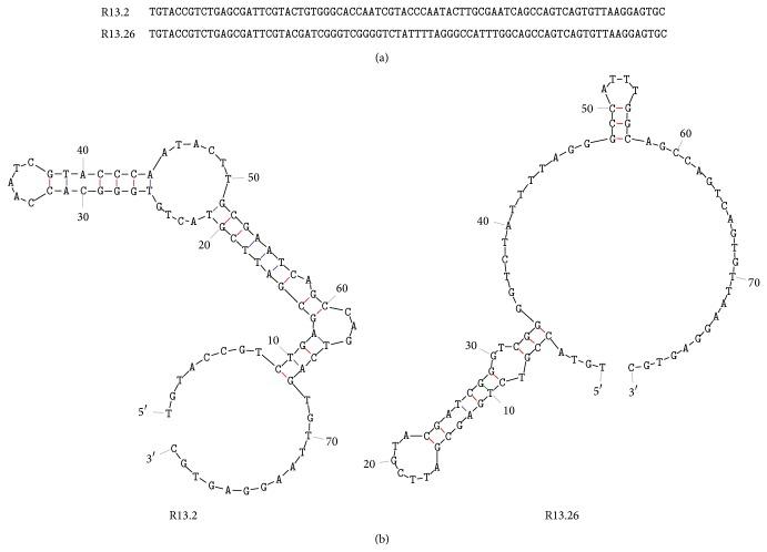 https://cdn.ncbi.nlm.nih.gov/pmc/blobs/91cb/4225842/2afa5cda02c1/JNA2014-102968.003.jpg