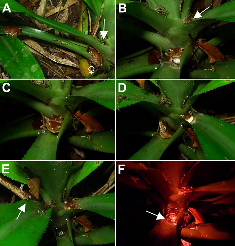 https://cdn.ncbi.nlm.nih.gov/pmc/blobs/91cc/7888631/dd91b2f6a9f7/pone.0246401.g003.jpg
