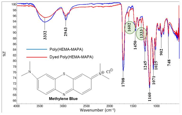https://cdn.ncbi.nlm.nih.gov/pmc/blobs/91cd/12191696/55768b47d77c/gels-11-00411-g001.jpg