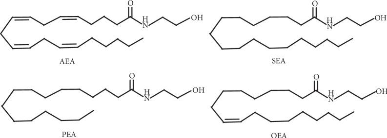 https://cdn.ncbi.nlm.nih.gov/pmc/blobs/91ce/7013284/2114557b7e8a/BMRI2020-7258380.001.jpg