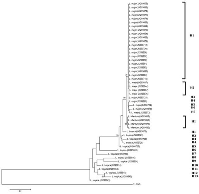 https://cdn.ncbi.nlm.nih.gov/pmc/blobs/91cf/6091798/db645b56947f/JAD-12-162-g003.jpg