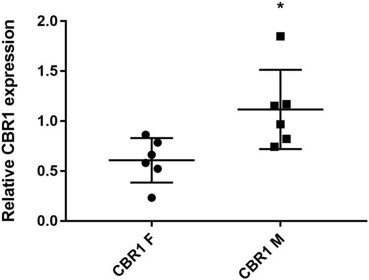 https://cdn.ncbi.nlm.nih.gov/pmc/blobs/91d0/6546852/fbb50102a3fd/fphar-10-00600-g006.jpg