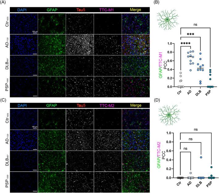 https://cdn.ncbi.nlm.nih.gov/pmc/blobs/91d5/9836371/42a18a3eb030/BPA-33-e13112-g008.jpg