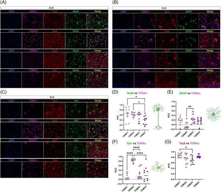https://cdn.ncbi.nlm.nih.gov/pmc/blobs/91d5/9836371/f0e12e140e53/BPA-33-e13112-g001.jpg