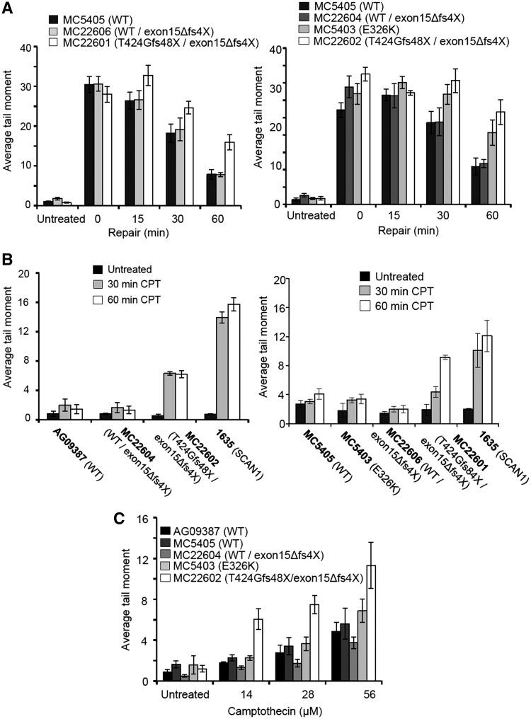 https://cdn.ncbi.nlm.nih.gov/pmc/blobs/91d7/3413127/109241d7be9c/gks318f6.jpg