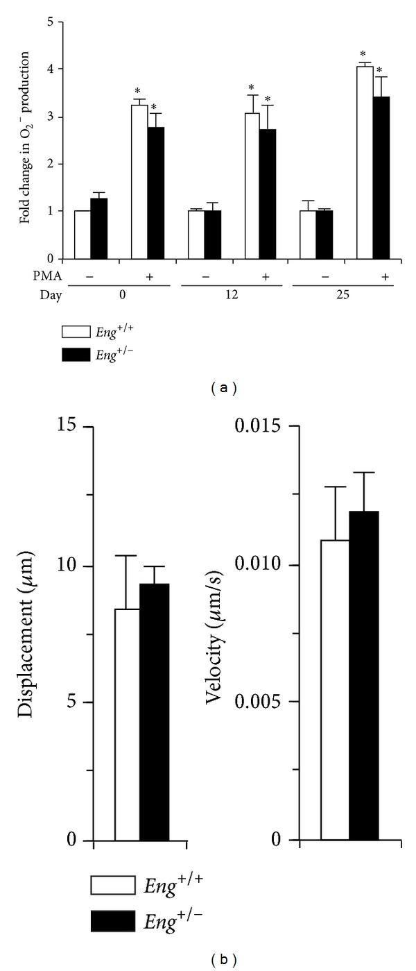 https://cdn.ncbi.nlm.nih.gov/pmc/blobs/91da/4121192/98ee34071f75/MI2014-767185.005.jpg