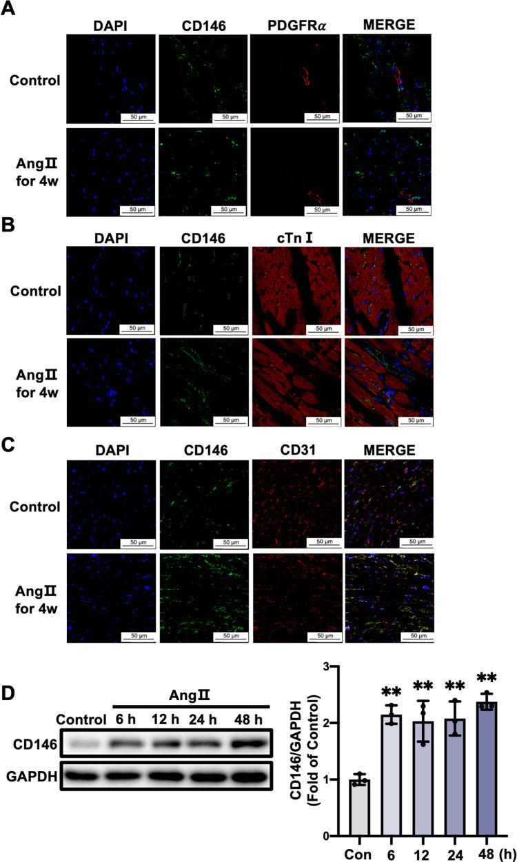 https://cdn.ncbi.nlm.nih.gov/pmc/blobs/91da/9401105/a630e52879ba/pone.0273542.g003.jpg