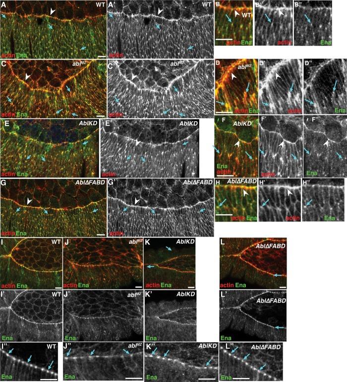 https://cdn.ncbi.nlm.nih.gov/pmc/blobs/91dd/4985262/a707ecd24205/2613fig7.jpg