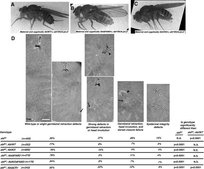 https://cdn.ncbi.nlm.nih.gov/pmc/blobs/91dd/4985262/b709c666f67f/2613fig2.jpg