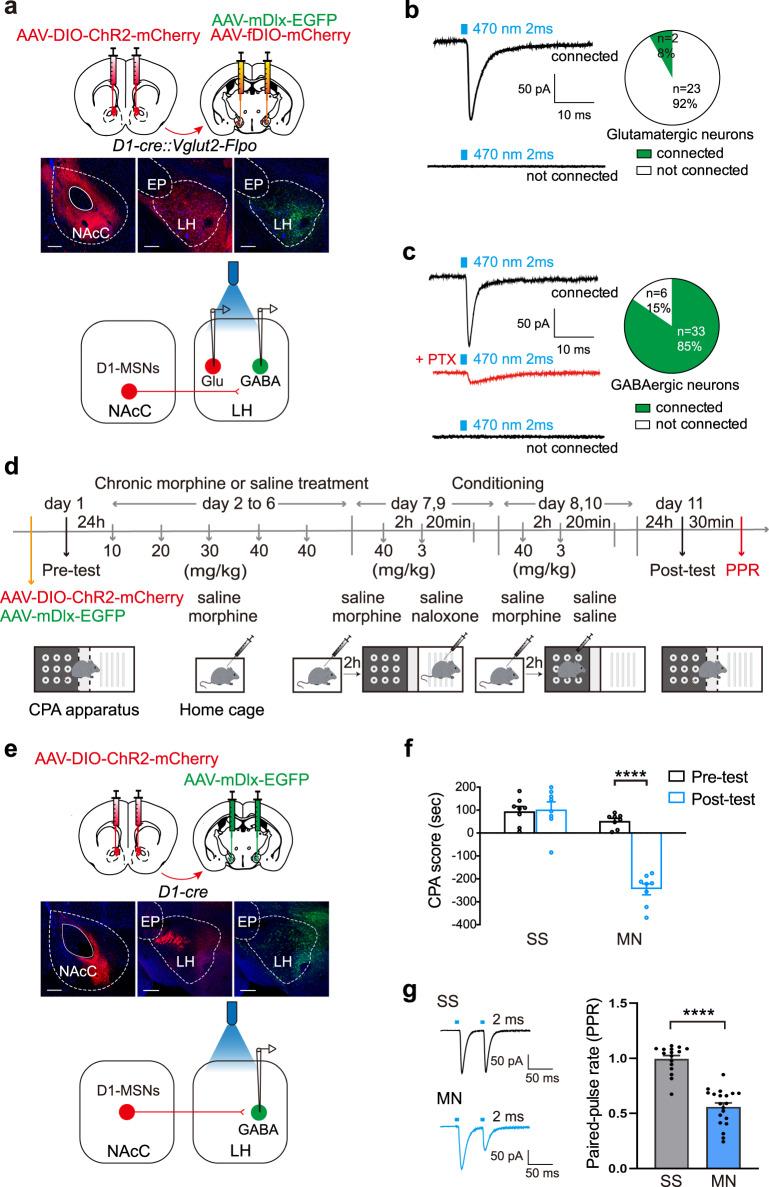 https://cdn.ncbi.nlm.nih.gov/pmc/blobs/91dd/9814415/2dd095afd8c4/41467_2022_35758_Fig5_HTML.jpg