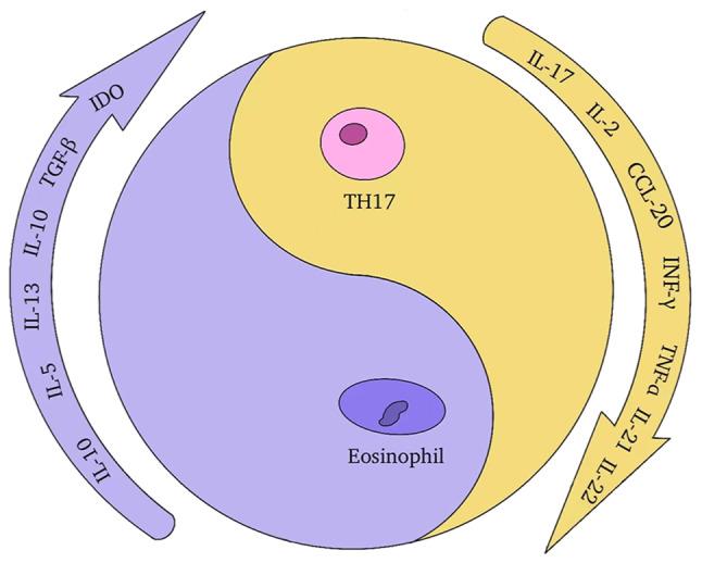https://cdn.ncbi.nlm.nih.gov/pmc/blobs/91de/9699724/0636efc4680e/IJO-62-1-05450-g02.jpg