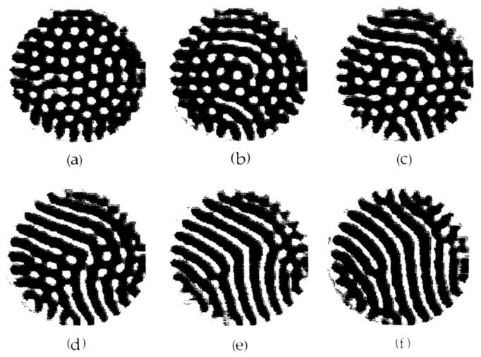 https://cdn.ncbi.nlm.nih.gov/pmc/blobs/91df/7517371/b59381099dd4/entropy-22-00800-g004.jpg
