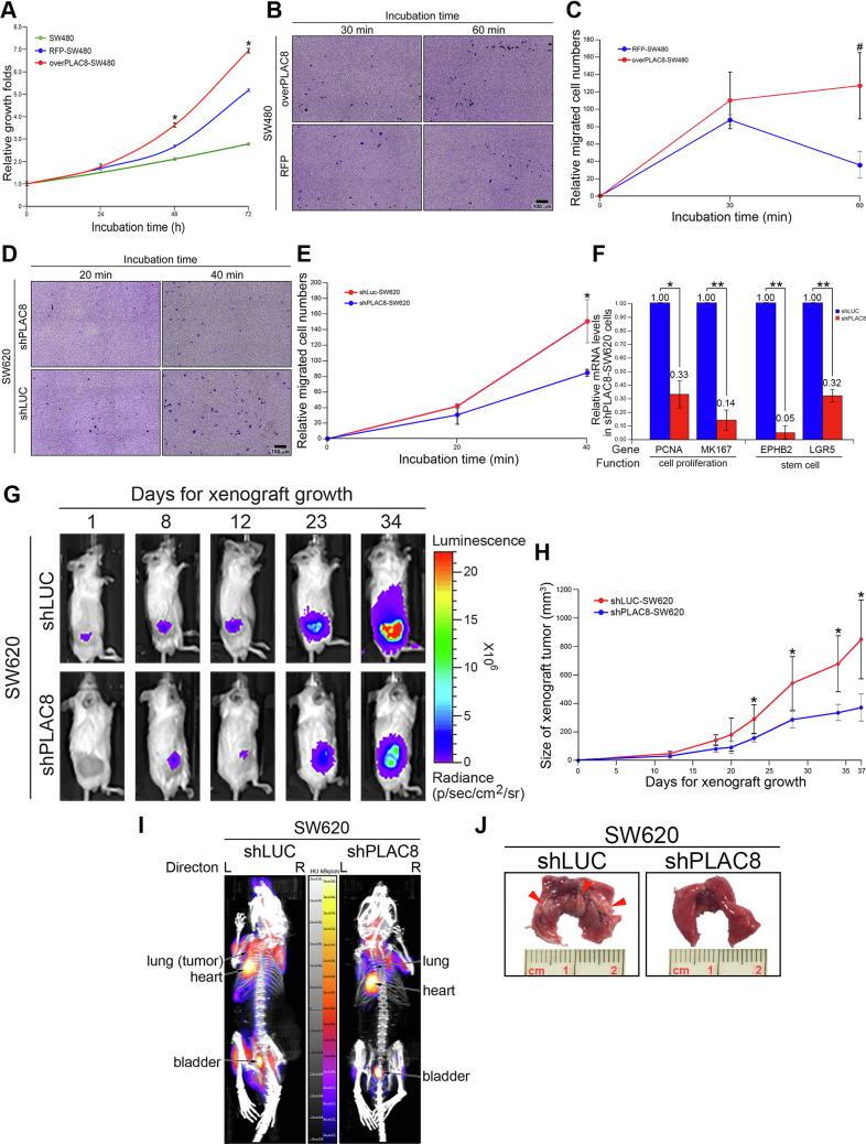 https://cdn.ncbi.nlm.nih.gov/pmc/blobs/91e1/6957854/0063ebf82589/gr4.jpg