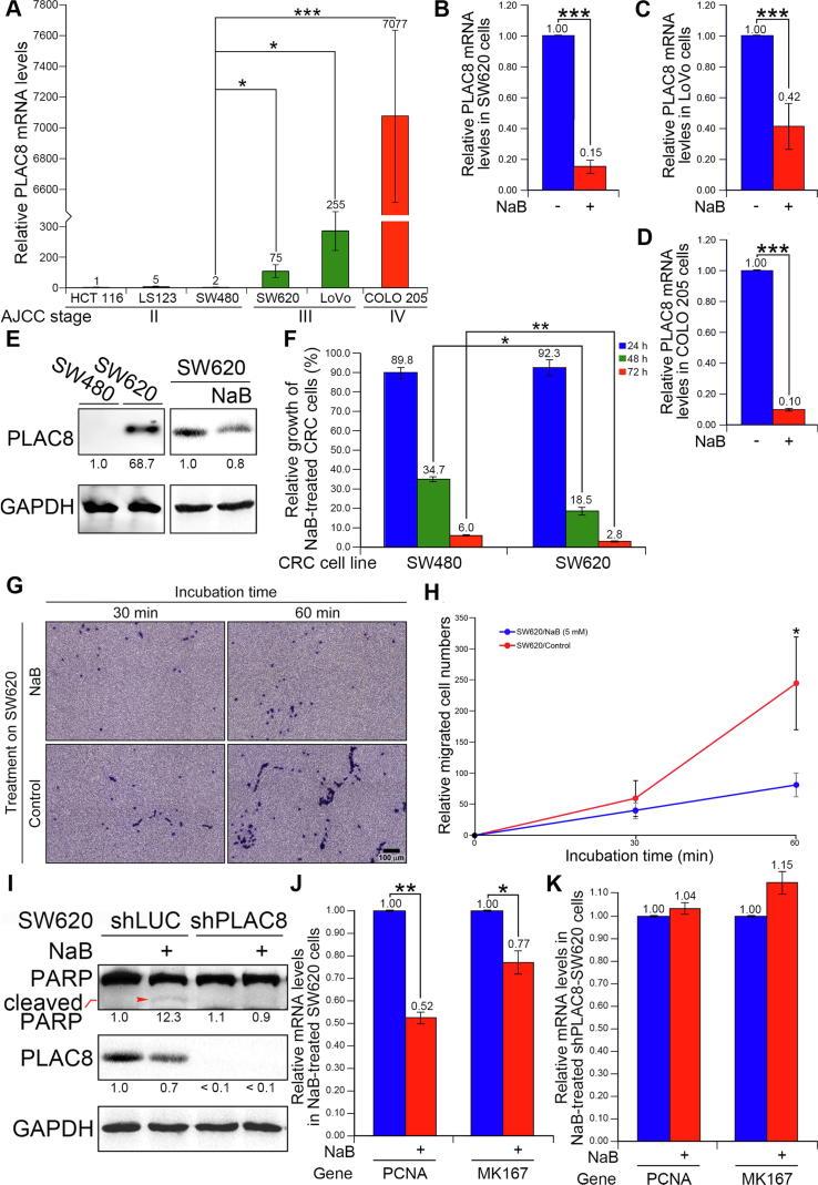 https://cdn.ncbi.nlm.nih.gov/pmc/blobs/91e1/6957854/27db5e8974ad/gr2.jpg