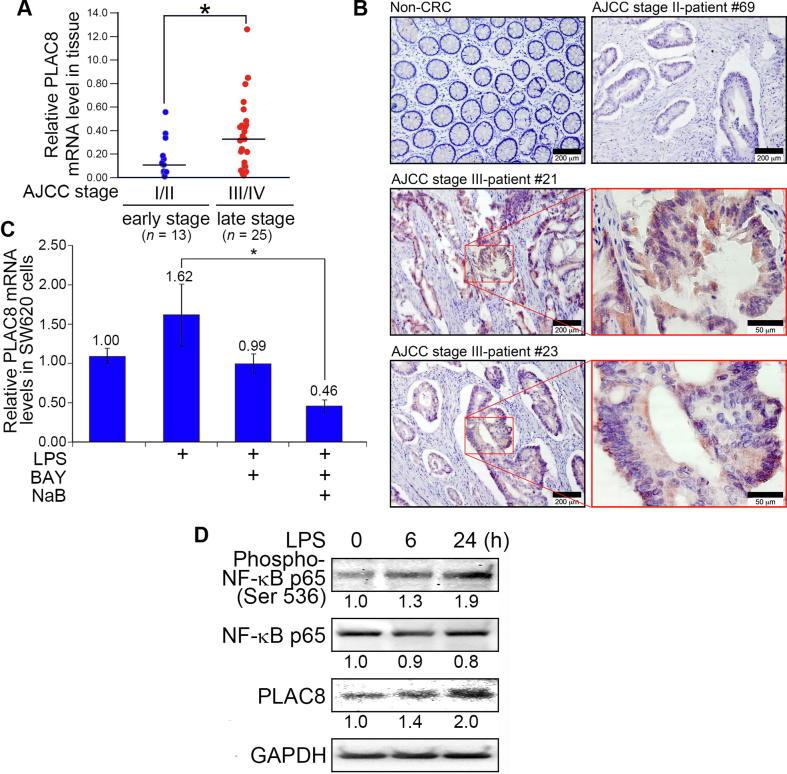 https://cdn.ncbi.nlm.nih.gov/pmc/blobs/91e1/6957854/361cbc5a2696/gr3.jpg