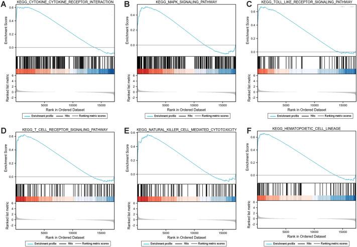 https://cdn.ncbi.nlm.nih.gov/pmc/blobs/91e2/10199006/125e6e614978/41598_2023_35214_Fig3_HTML.jpg