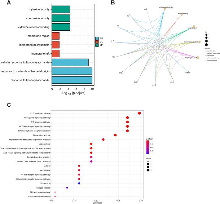 https://cdn.ncbi.nlm.nih.gov/pmc/blobs/91e2/10199006/29c51702d8c9/41598_2023_35214_Fig2_HTML.jpg