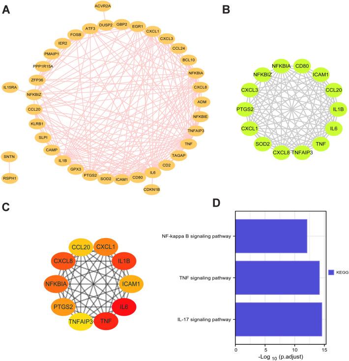 https://cdn.ncbi.nlm.nih.gov/pmc/blobs/91e2/10199006/40b299dd1a6f/41598_2023_35214_Fig4_HTML.jpg