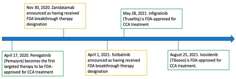 https://cdn.ncbi.nlm.nih.gov/pmc/blobs/91e8/9179455/363ab38ed803/cancers-14-02641-g001.jpg