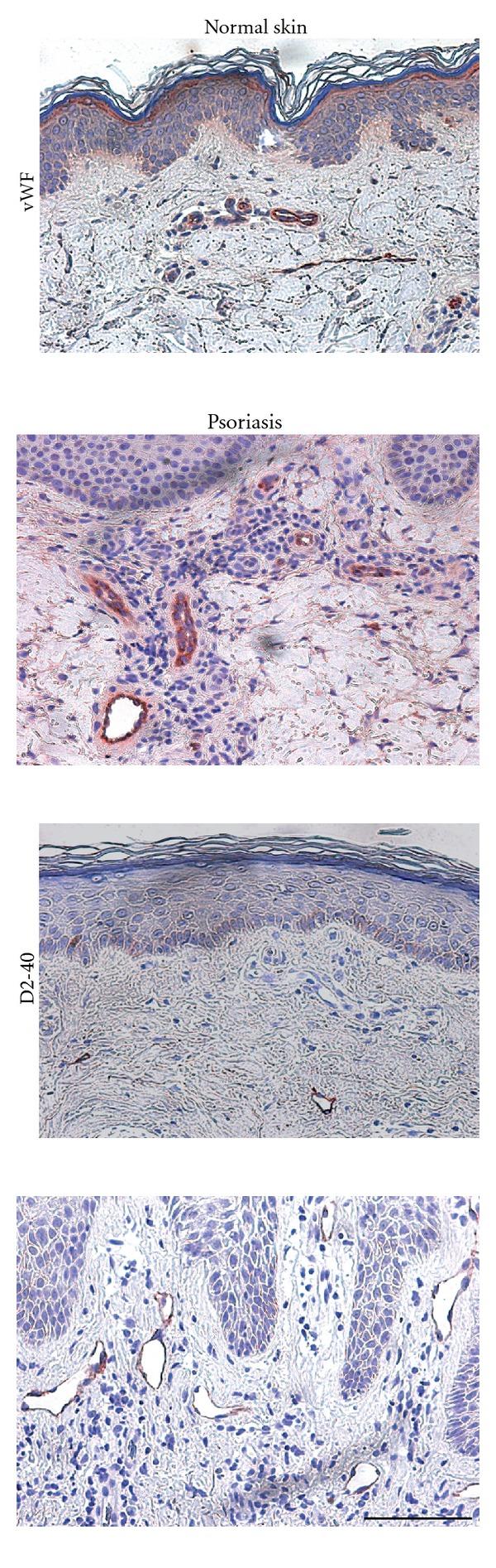 https://cdn.ncbi.nlm.nih.gov/pmc/blobs/91e9/3574757/ada32c2f3992/JA2013-672381.002.jpg