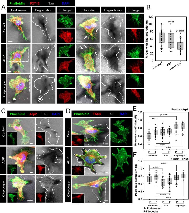 https://cdn.ncbi.nlm.nih.gov/pmc/blobs/91ea/10204346/e42ccf275f2a/13578_2023_1028_Fig6_HTML.jpg