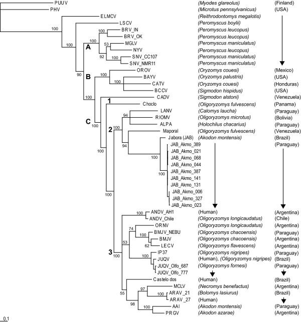 https://cdn.ncbi.nlm.nih.gov/pmc/blobs/91ef/3168424/52a469add66b/1743-422X-8-399-2.jpg