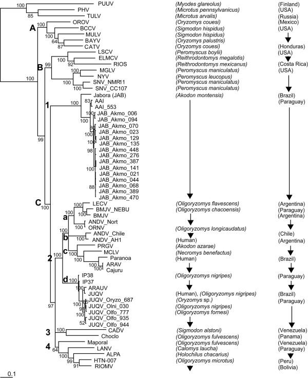 https://cdn.ncbi.nlm.nih.gov/pmc/blobs/91ef/3168424/77c8bff17182/1743-422X-8-399-1.jpg