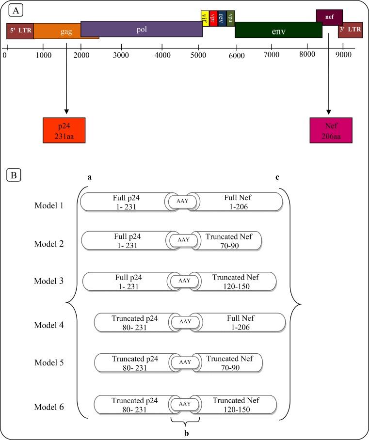 https://cdn.ncbi.nlm.nih.gov/pmc/blobs/91f0/6446525/33e7cf3570ca/CHIVR-16-322_F3.jpg