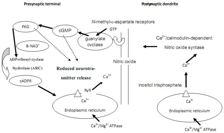 https://cdn.ncbi.nlm.nih.gov/pmc/blobs/91f3/6259655/109487729de4/molecules-16-02688-g003.jpg
