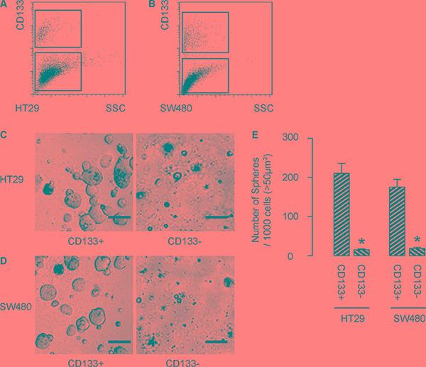 https://cdn.ncbi.nlm.nih.gov/pmc/blobs/91f4/5348401/21ee16b27589/oncotarget-07-81402-g001.jpg