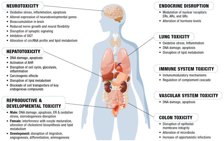 https://cdn.ncbi.nlm.nih.gov/pmc/blobs/91f5/12031142/429668eb70c5/toxics-13-00297-g002.jpg