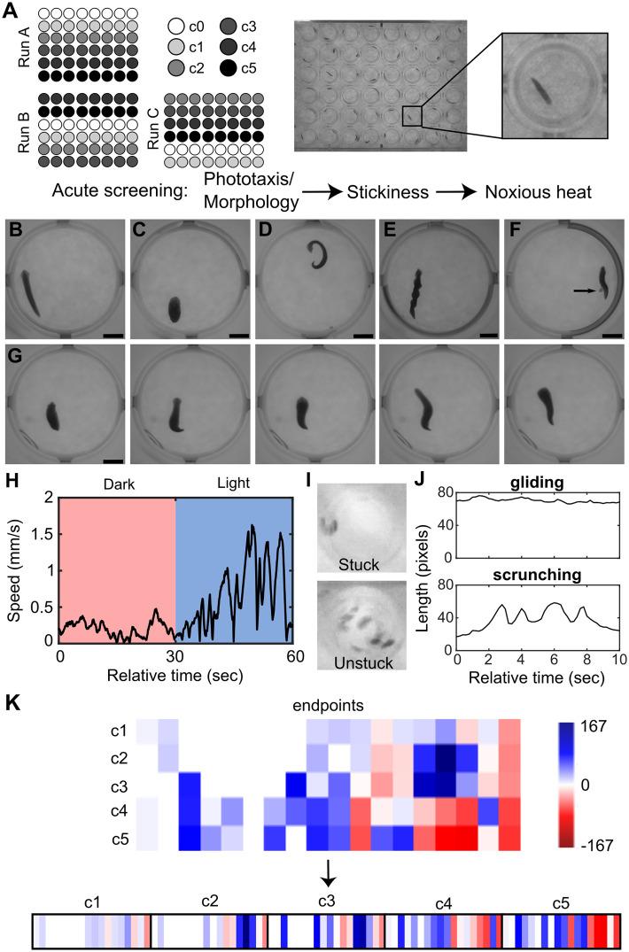 https://cdn.ncbi.nlm.nih.gov/pmc/blobs/91f6/11781733/c208e6cb5cf6/pone.0315394.g007.jpg