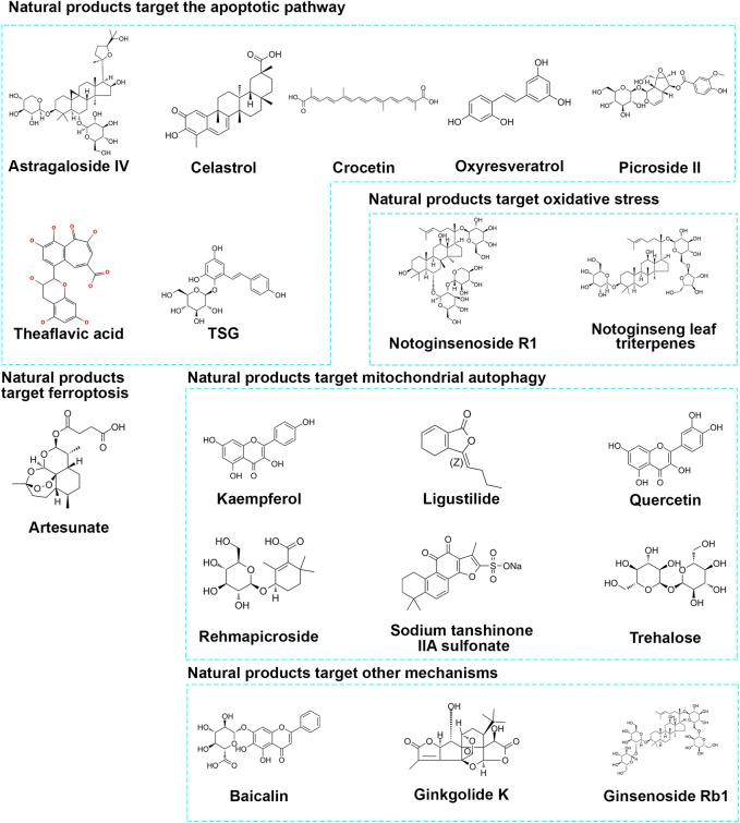 https://cdn.ncbi.nlm.nih.gov/pmc/blobs/91f7/11747497/53875bb185b7/fphar-15-1434948-g002.jpg