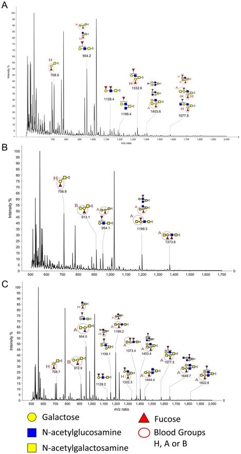 https://cdn.ncbi.nlm.nih.gov/pmc/blobs/91f7/3161982/84529a073ff5/ppat.1002188.g006.jpg