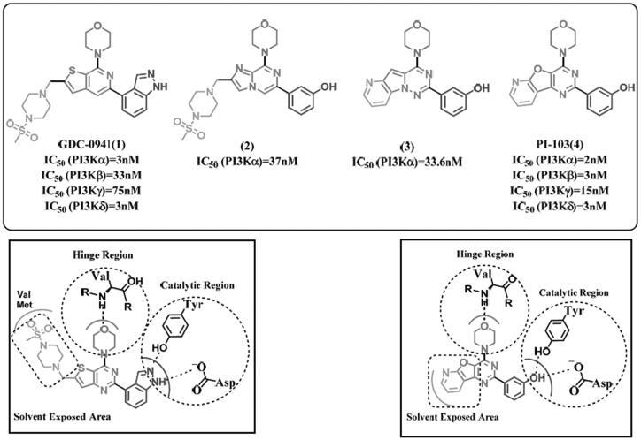 https://cdn.ncbi.nlm.nih.gov/pmc/blobs/91f7/8725920/127051faa9f6/IENZ_A_2010729_F0003_B.jpg