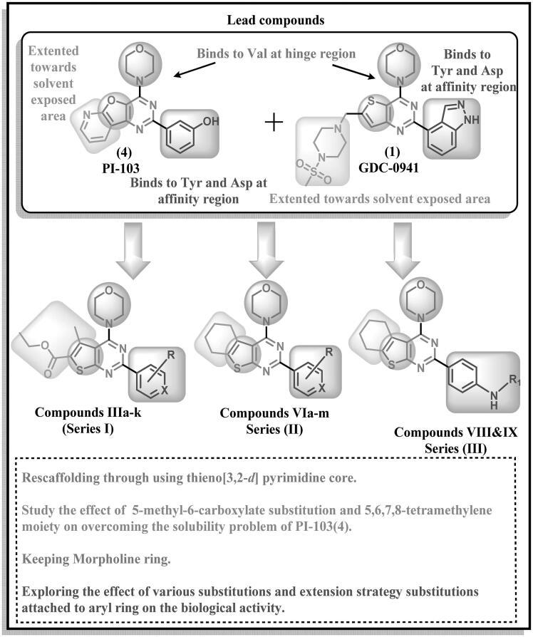 https://cdn.ncbi.nlm.nih.gov/pmc/blobs/91f7/8725920/1a8c685b3dcb/IENZ_A_2010729_F0004_B.jpg