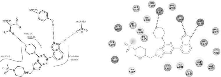 https://cdn.ncbi.nlm.nih.gov/pmc/blobs/91f7/8725920/57d0a941f67e/IENZ_A_2010729_F0013_B.jpg