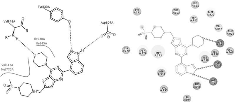 https://cdn.ncbi.nlm.nih.gov/pmc/blobs/91f7/8725920/6be5e2966ebe/IENZ_A_2010729_F0011_B.jpg
