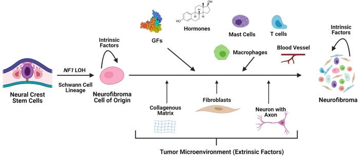 https://cdn.ncbi.nlm.nih.gov/pmc/blobs/91f8/8659402/1235e14a3740/gr3.jpg