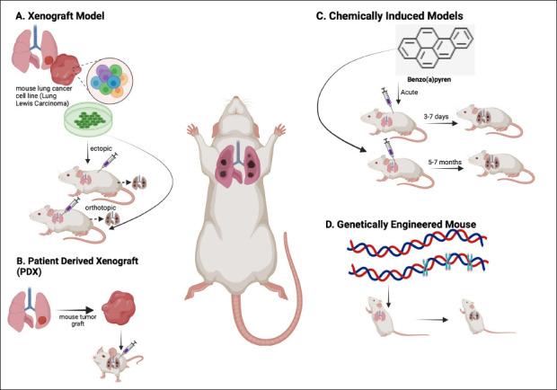 https://cdn.ncbi.nlm.nih.gov/pmc/blobs/91f9/11974298/76017ee26756/OpenVetJ-15-482-g001.jpg