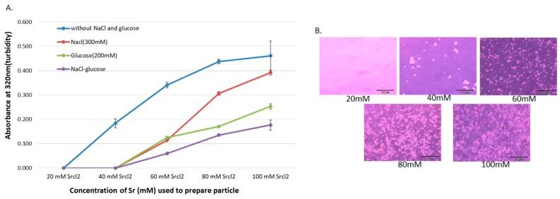 https://cdn.ncbi.nlm.nih.gov/pmc/blobs/91fe/6410046/57ba2891094d/pharmaceutics-11-00089-g001.jpg