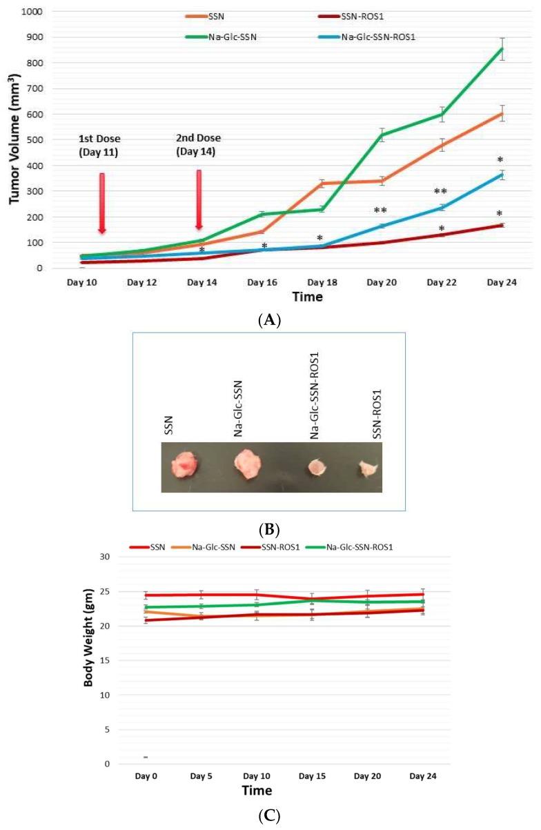 https://cdn.ncbi.nlm.nih.gov/pmc/blobs/91fe/6410046/d0e54a161180/pharmaceutics-11-00089-g017.jpg