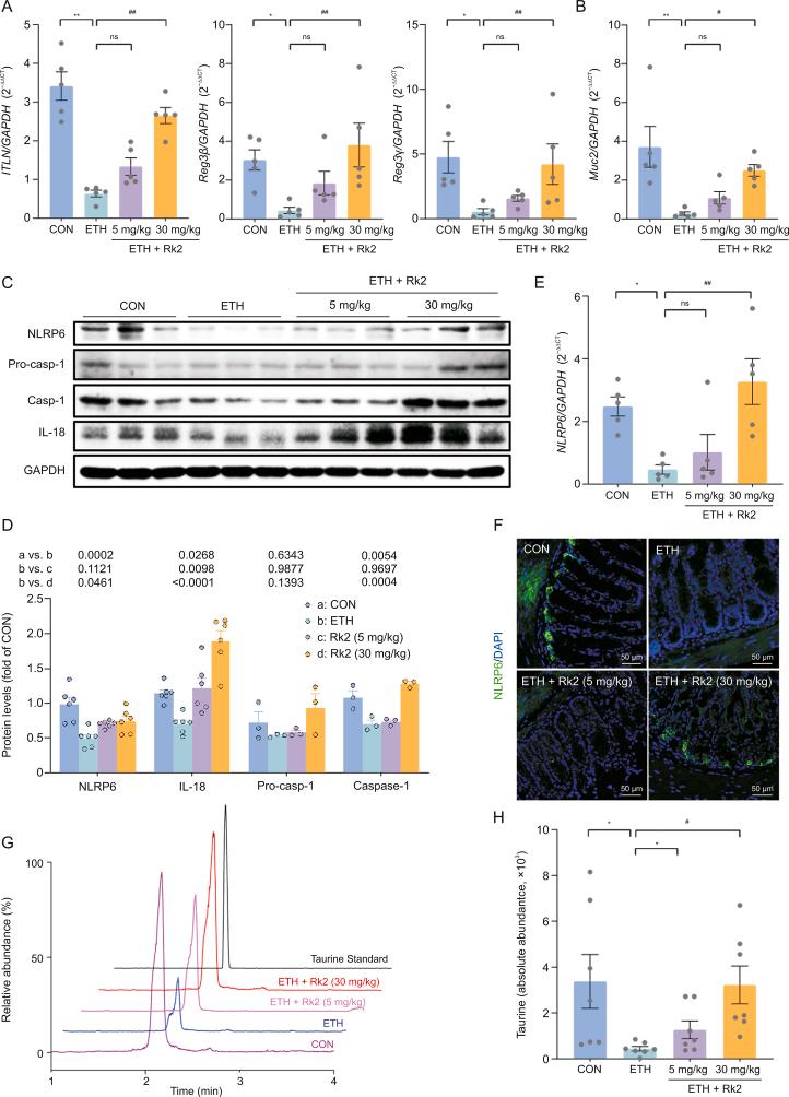 https://cdn.ncbi.nlm.nih.gov/pmc/blobs/91ff/10568107/851ca4e448b0/gr7.jpg
