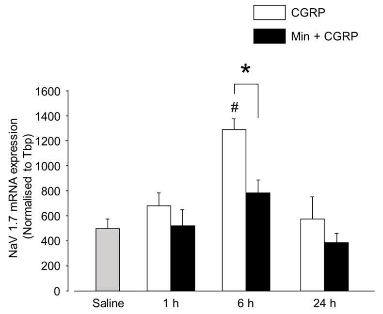 https://cdn.ncbi.nlm.nih.gov/pmc/blobs/91ff/6386987/93b7c3ca6aa1/ijms-20-00711-g008.jpg