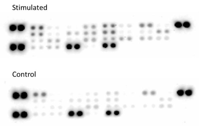https://cdn.ncbi.nlm.nih.gov/pmc/blobs/91ff/6386987/96d97e29a14a/ijms-20-00711-g004.jpg