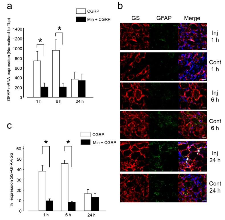 https://cdn.ncbi.nlm.nih.gov/pmc/blobs/91ff/6386987/b2afff663e77/ijms-20-00711-g006.jpg