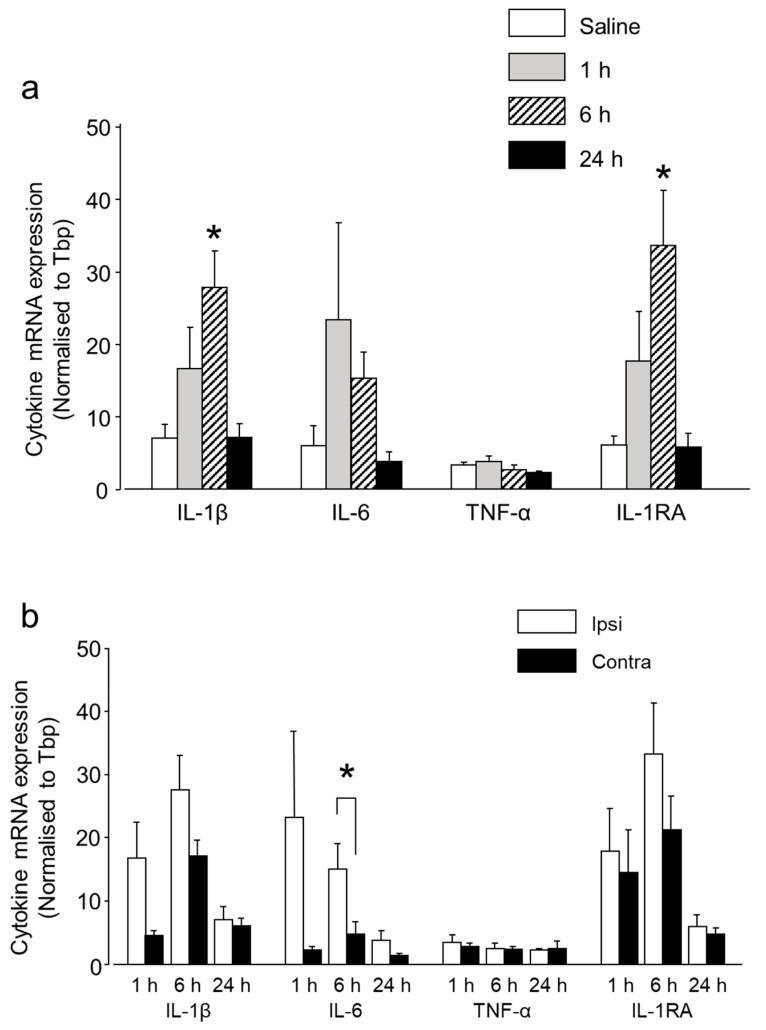 https://cdn.ncbi.nlm.nih.gov/pmc/blobs/91ff/6386987/d5ede376b074/ijms-20-00711-g003.jpg