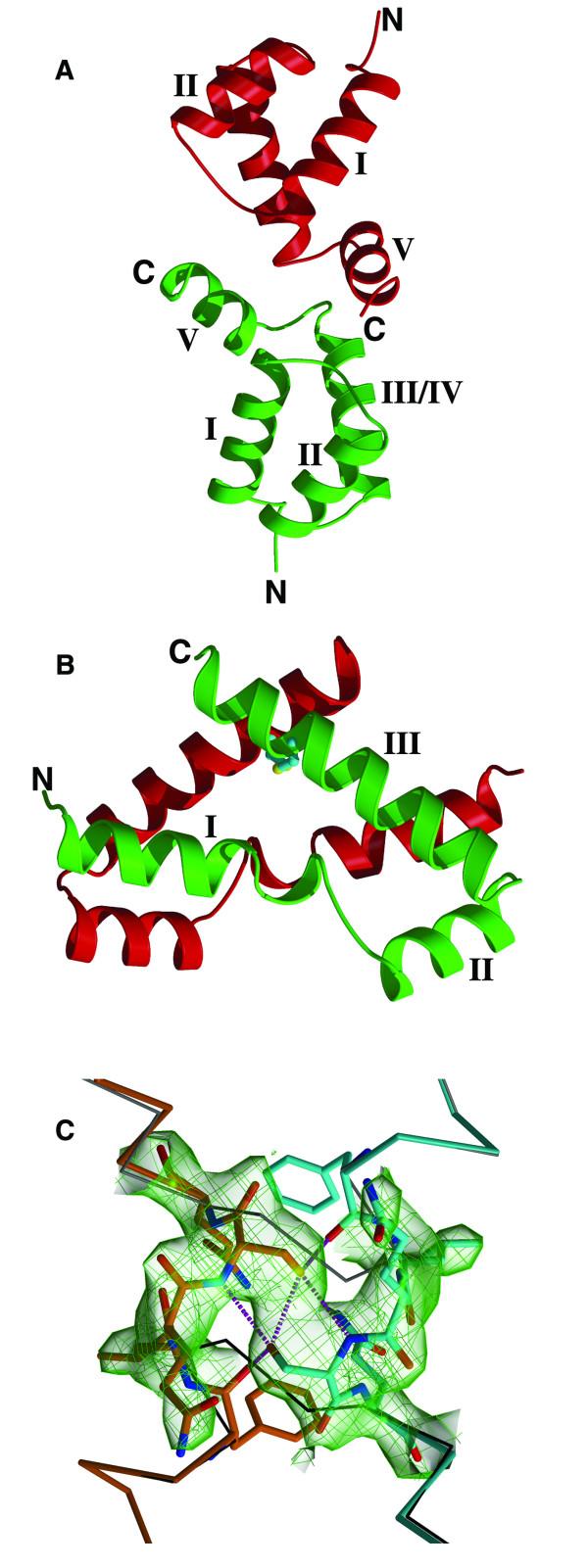 https://cdn.ncbi.nlm.nih.gov/pmc/blobs/9201/2893186/2f7ed26f19d8/1472-6807-10-13-2.jpg