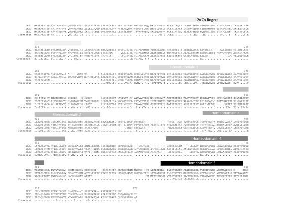 https://cdn.ncbi.nlm.nih.gov/pmc/blobs/9201/2893186/b20d766a784d/1472-6807-10-13-1.jpg
